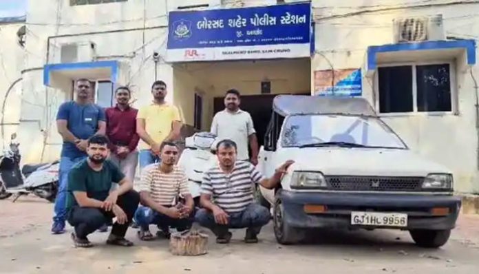 Borasad police arrest suspects involved in cow slaughter linked to 'Niyaz' ritual