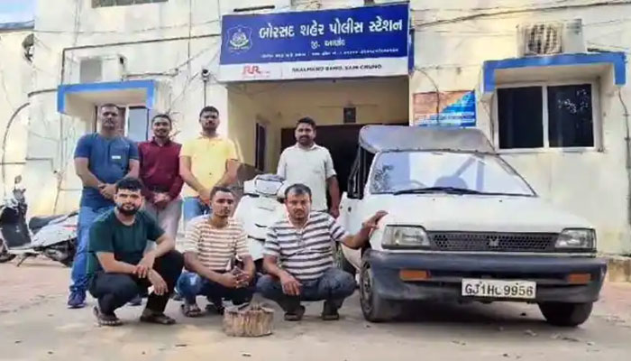 Cow slaughtered for ‘Niyaz’: Major breakthrough in Borasad cow slaughter case, police arrest absconding Sadiq, Hasim, and Aslam