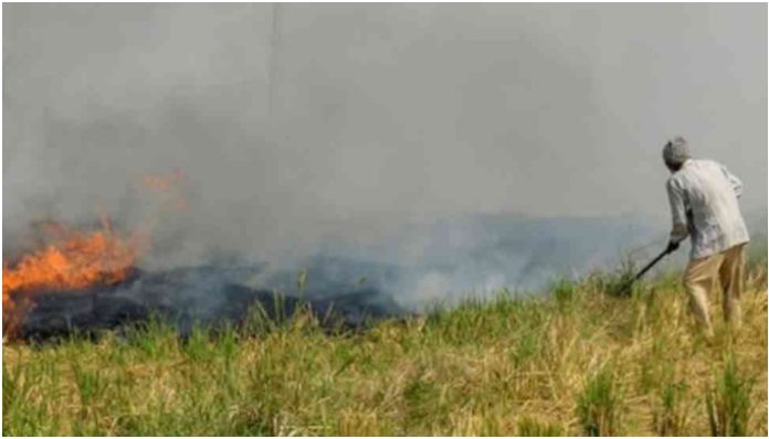 Stubble burning incidents cross 10000 mark this year: Worrying trend shows Madhya Pradesh competing with Punjab with over 2000 cases