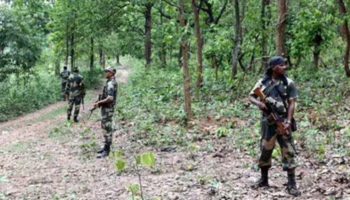 Chhattisgarh: Police and CRPF eliminate 10 Maoists in latest encounter, total 207 Maoists killed in 2024 alone