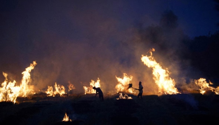 Supreme Court slams Punjab officials for advising farmers to burn stubble in afternoon to evade satellites, demands 24*7 data on farm fires