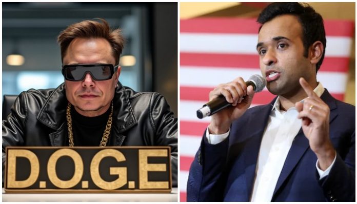 Elon Musk and Vivek Ramaswamy to lead DOGE