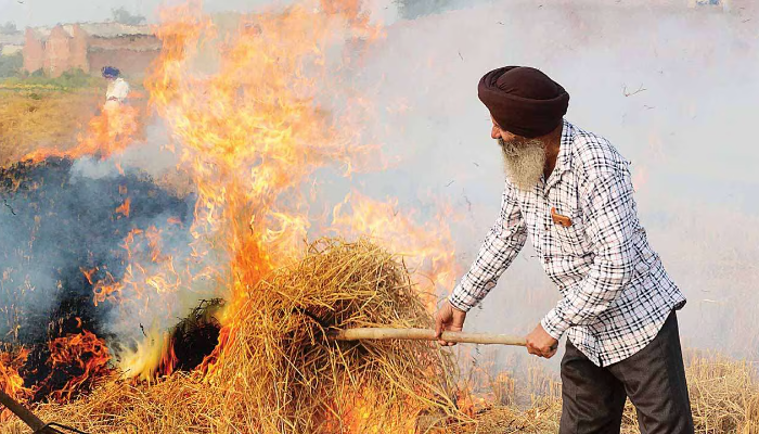 Punjab: ‘Farmers’ are also against biogas plants that use stubble, only 5 out of 38 operational and none at full capacity