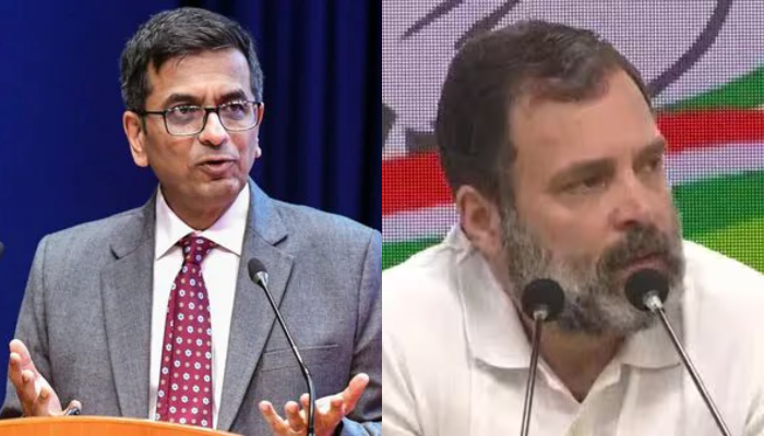 ‘Judiciary not here to play opposition’s role’: Ex-CJI DY Chandrachud takes a subtle dig at Rahul Gandhi, says judiciary’s responsibility to scrutinise laws