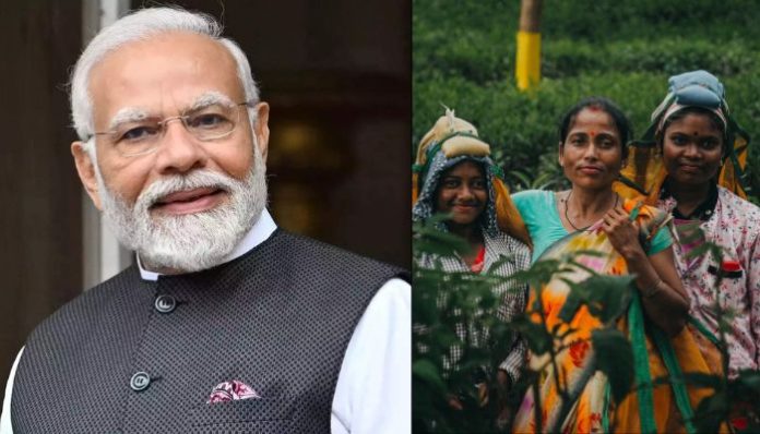 Modi govt is empowering women, data shows massive increase in female labour force participation in 5 years: Details