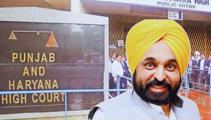 Punjab and Haryana HC slams AAP govt, asks how can they have no money for forensic labs but lavish spending on advertising and cars