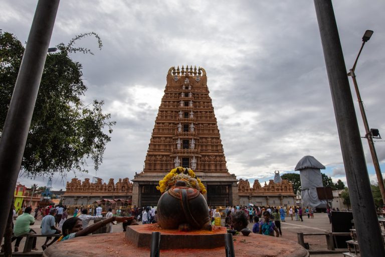 Karnataka: Temple bull of Srikanteshwara temple in Mysuru mutilated by unknown attackers, locals demand Goshala