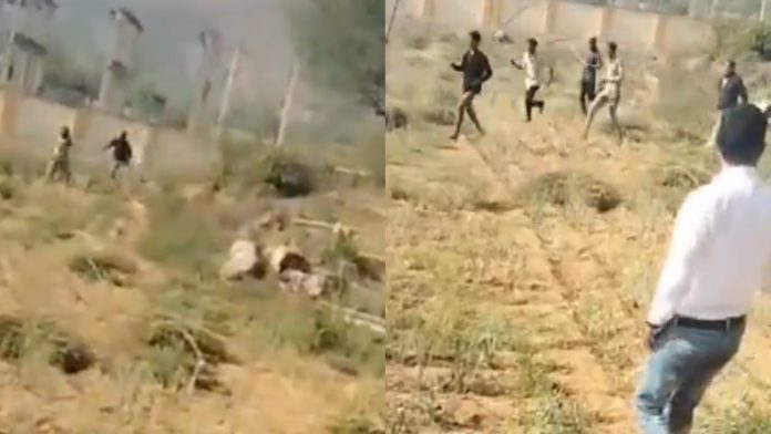 Muslim mob Dalit family Alwar