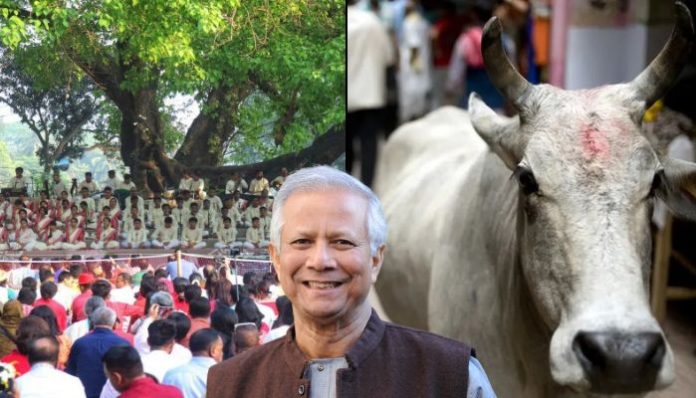 'Pohela Boishakh' under threat in Bangladesh as extremists campaign to slaughter cows, Yunus govt remains mute spectator