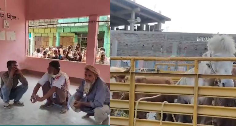Assam: Horse meat allegedly sold as beef in restaurants in Barpeta, angry locals nab 3 people and rescue 6 horses brought for slaughter