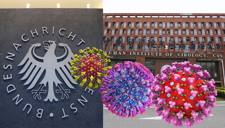 Germany had intelligence reports about laboratory origin of COVID-19 in 2020, its spy agency had informed govt and CIA but kept it from public