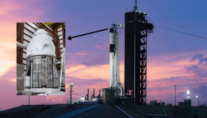 SpaceX Crew Dragon will bring back Sunita Williams back to earth