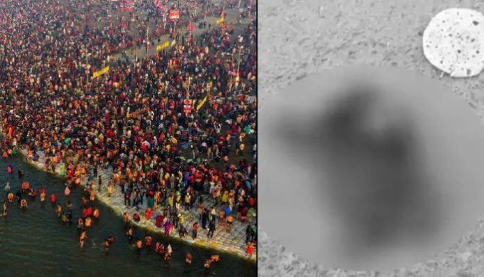 Prayagraj: Remains of dead cow dumped outside Hindu homes. Here is what we know so far