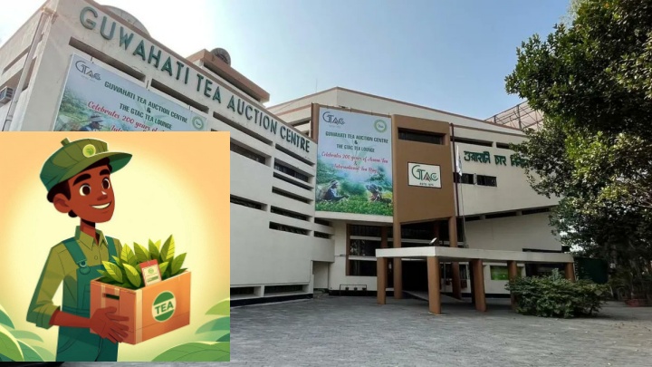 Guwahati Tea Auction Centre sells tea worth a record Rs 3850 crores in FY 2024-25