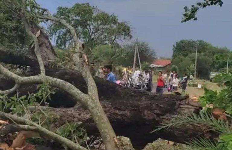 23 people dead in Nalanda as rains and storm wreak havoc in Bihar, total death toll reaches 80 in the state