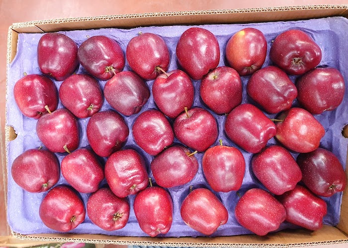Himachal Pradesh apple farmers demand complete ban on Turkish imports citing the country’s support to Pakistan