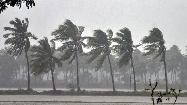 Southwest Monsoon arrives early over Kerala, Meteorological Department warns heavy rainfall, storms across India