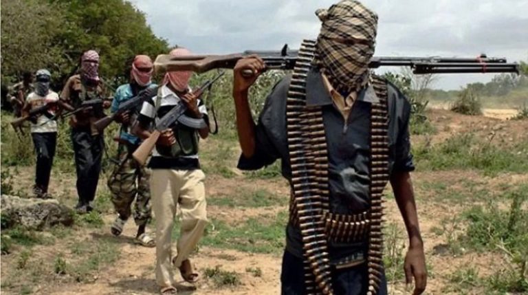 Islamic Fulani Militia has been killing Christians for months in Nigeria, local politicians and media wash it off as local conflict between herders and farmers