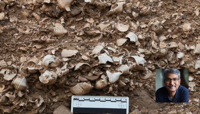 Gujarat: Shells, stone tools, and other evidence of human habitation: IITGN uncovers pre-Harappan human presence dating back at least 5000 years in Kachchh