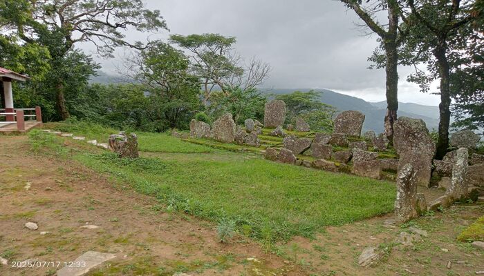 Mizoram: ASI declares the ancient menhirs in Lianpui village as ‘monument of national importance’