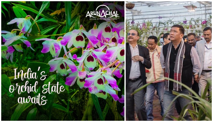 Arunachal Pradesh, India’s orchid capital: Read how its unique climate sustains over 600 orchid species, and how govt has been working on preservation, research and eco-tourism