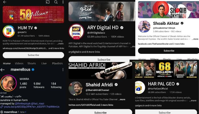 India Blocks Pakistani Social Media Again After Technical Glitch