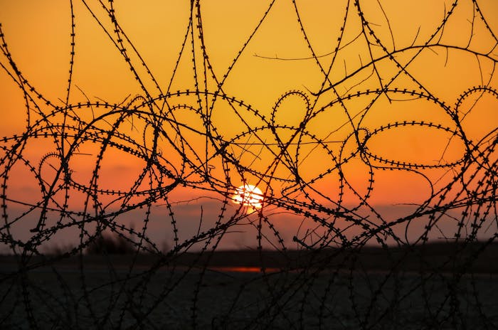 Naga organisations in Manipur object to India-Myanmar border fencing, demand restoration of FMR: Read how this open border has been fuelling violence and narcotics trade