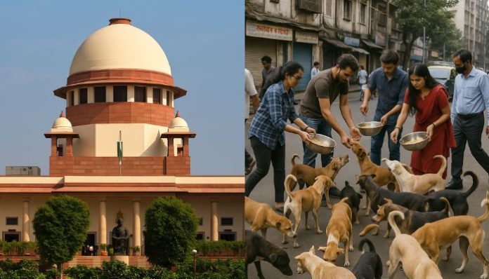 Supreme Court questions public feeding under stray dog feeding rules India