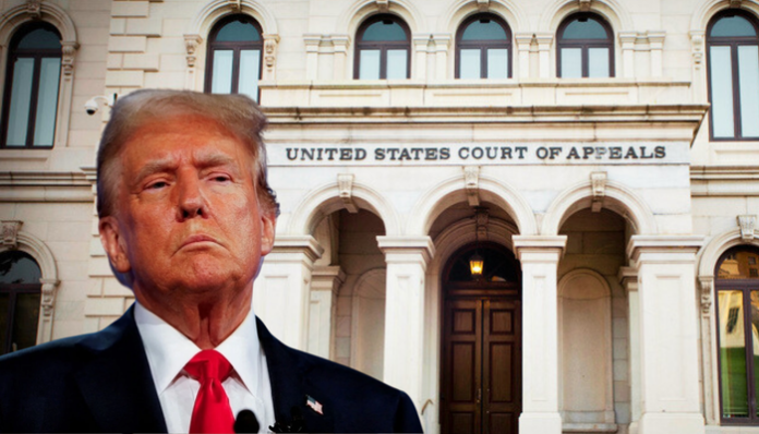 US court of appeals declares Trump tariffs illegal.