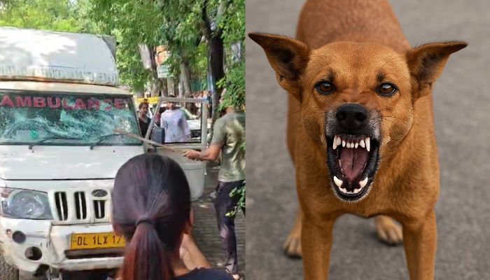 Delhi Police Arrests Man After Attack on MCD Officials in Rohini
