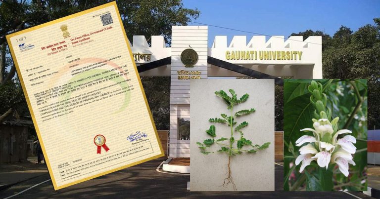 Four researchers of Gauhati University granted patent for plant-based formulation to fight obesity and related complications