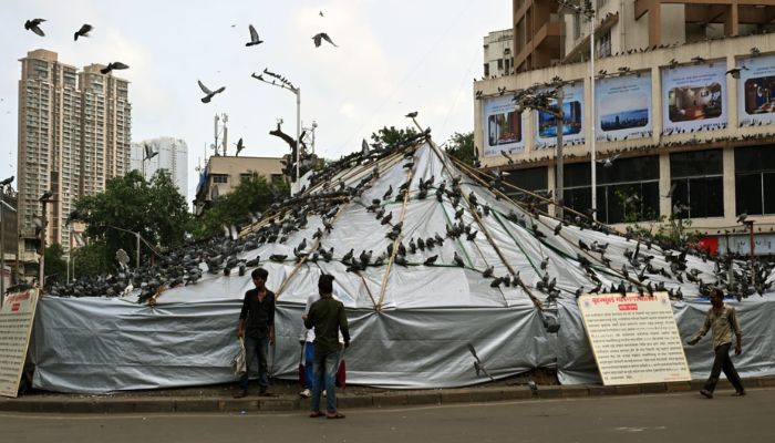 Mumbai: Dadar Kabootarkhana shut down, pigeon feeding banned by BMC citing health risks after a Bombay HC order