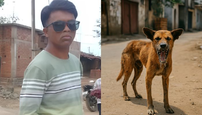 Boy in Bengaluru Narrowly Avoids Dog Attack
