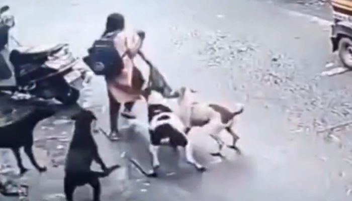 Schoolgirl Attacked by Stray Dogs in Ulhasnagar, Rescued by Locals