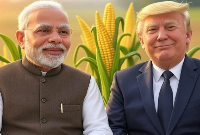 Corn and India US trade talks