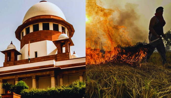 Supreme Court mulls punishing farmers engaging in stubble burning.