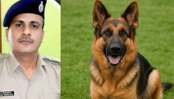 Ahmedabad Police Inspector Dies From Rabies After Dog Scratch