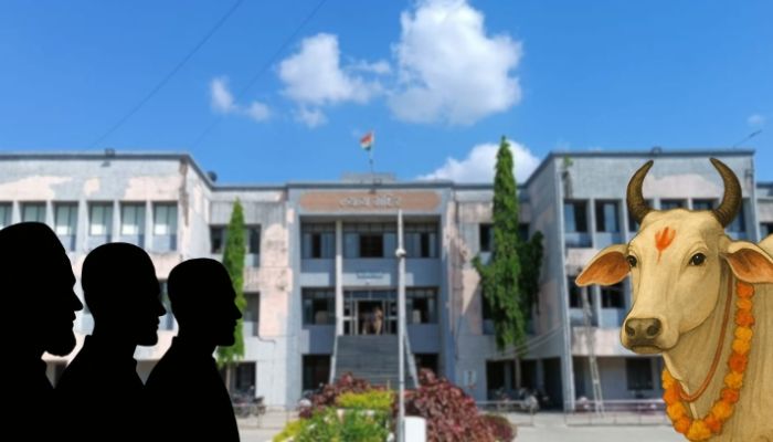 ‘Despite knowing the animal is considered sacred to Hindus…’: What Amreli court said while sentencing Kasim, satar, Akram to life imprisonment in cow slaughter case