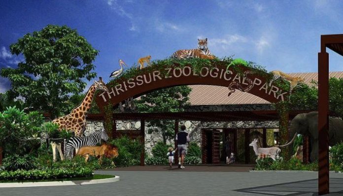 Stray dogs killed 10 deer at Kerala’s newly opened Puthur Zoological Park, raising safety concerns.