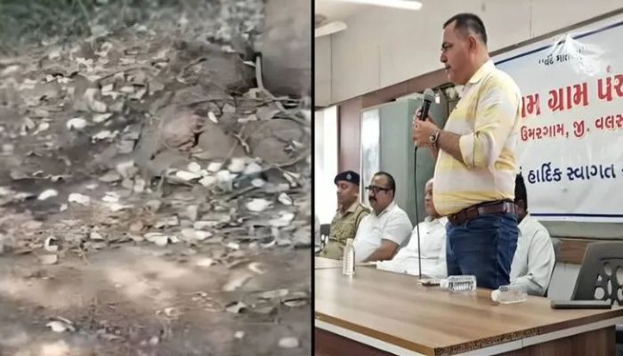 Gujarat: Saddam Khan, along with a minor, arrested for killing a pregnant cow in Valsad; also accused of attacking gau rakshaks with sword