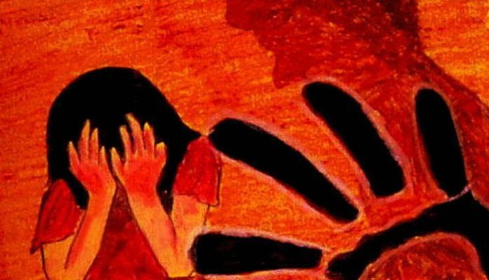 Two Muslim friends drugged a Hindu girl in the tenth grade and their brother Anas raped her.