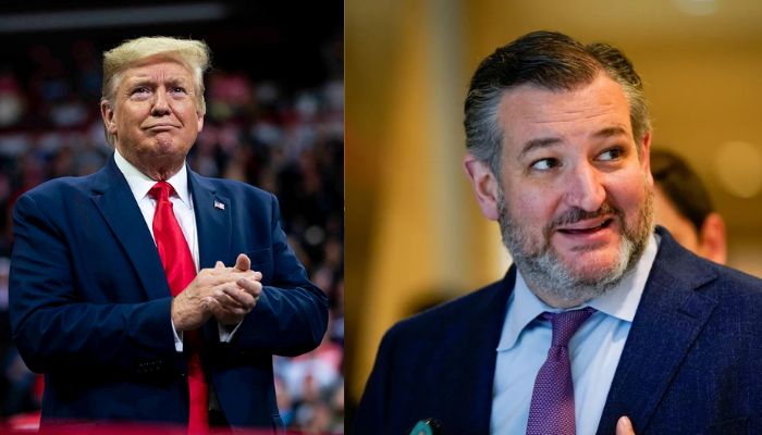 In audio recordings, Republican Senator Ted Cruz heard saying Navarro, Vance and sometimes Trump are blocking the trade deal with India