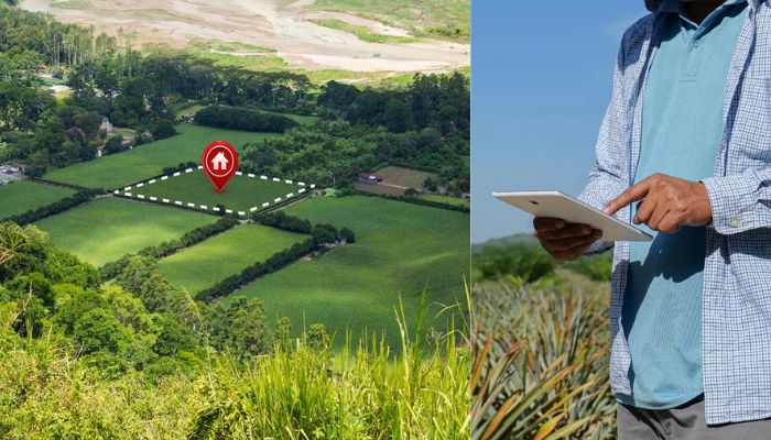 India Expands Digital Land Records to 19 States