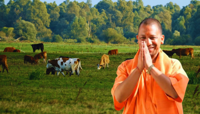 Yogi government in Uttar Pradesh has launched a major crackdown on cow slaughter.