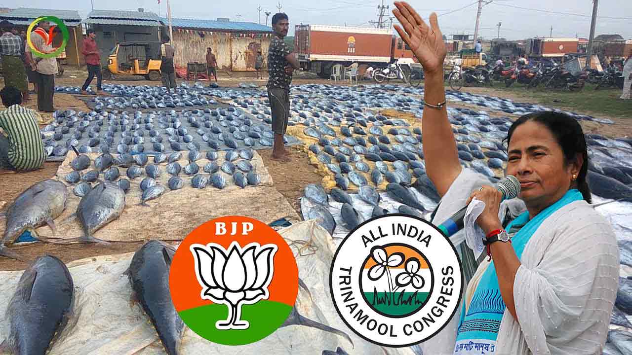 Mamata Banerjee claims fish is not eaten in BJP-ruled states: Read how TMC’s claims of BJP banning non-vegetarian food are completely baseless and blatant lies