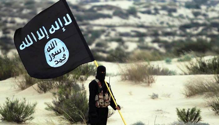 A module connected to IS that attempted to use remote-controlled toy car bombs in Delhi was foiled.