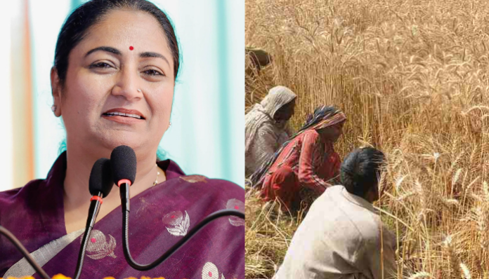 Procurement norms for wheat eased in Delhi.