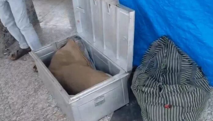 Dismembered body of woman found