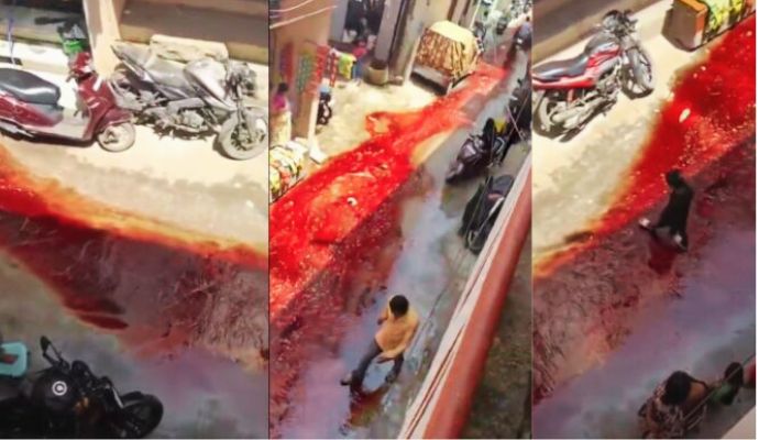 Cow head severed, Hindu boy slaughtered and more: Read about 9 incidents of communal violence by Muslims during Bakrid 2026