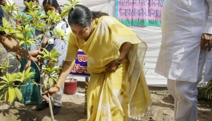 The Delhi government will allow residents to participate directly in Van Mahotsav plantation drives from July 5 to 7 through a dedicated online portal expected to launch by June-end.